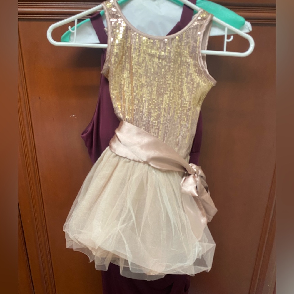 Biscotti dress (with sequin top and tulle skirt) size 4